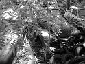 Autofriedhof - 175